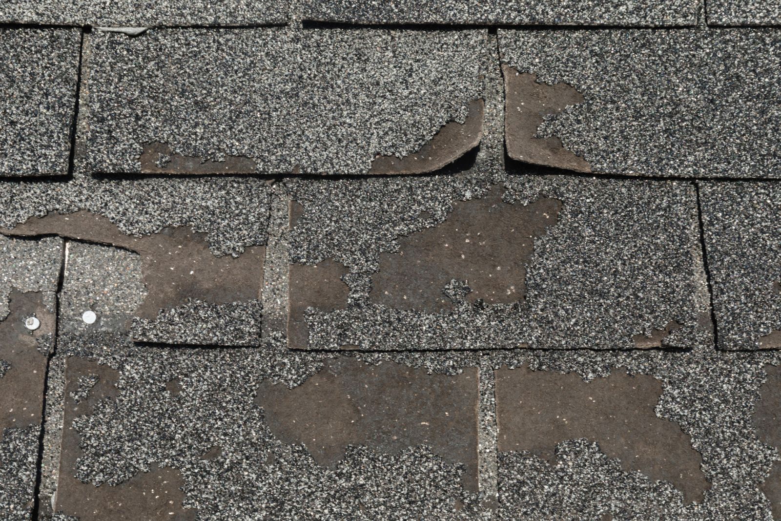 TMC Exteriors Images