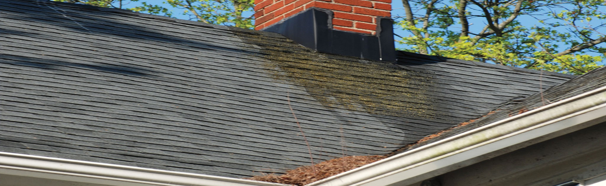 TMC Exteriors Images